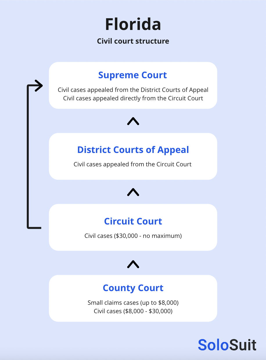 Florida court structure.