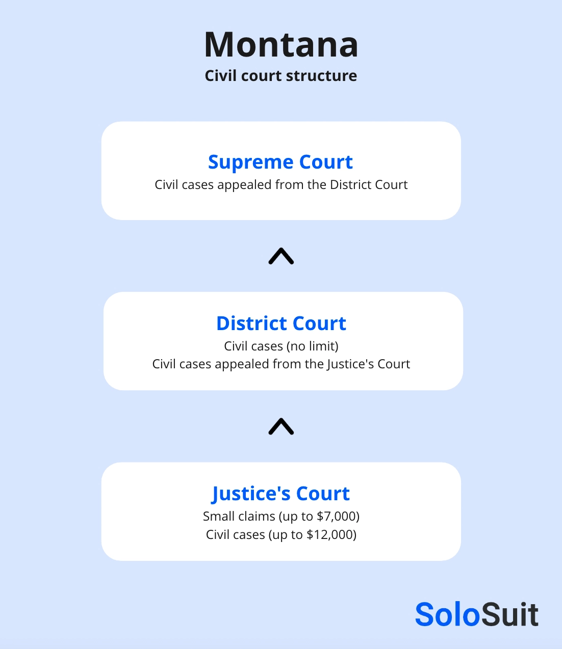 mt court structure